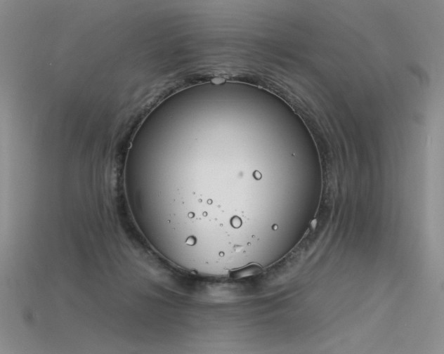 X0000115780268200911131253