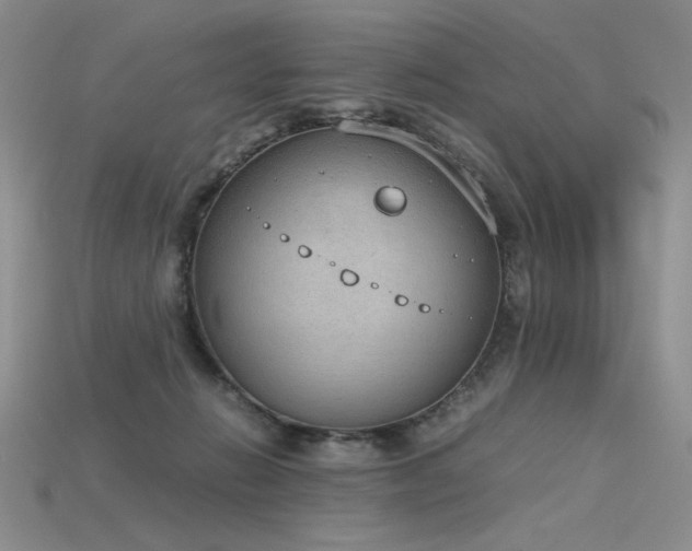 X0000115780270200911131253