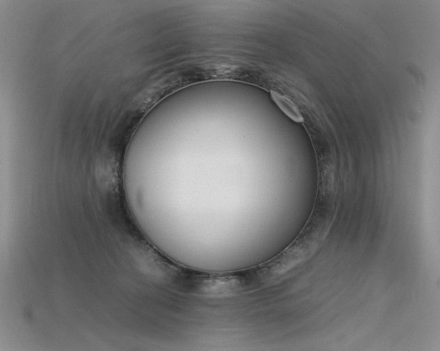 X0000115780274200911131254