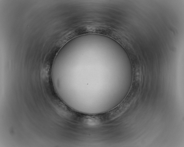 X0000115780275200911131254