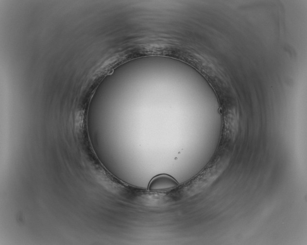 X0000115780278200911131254