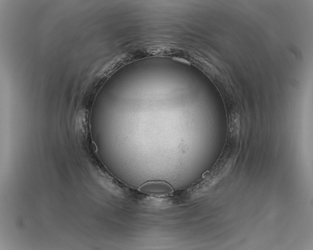 X0000115780280200911131254