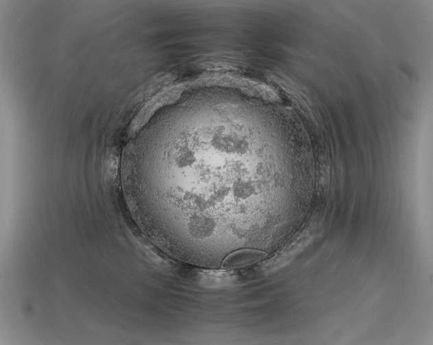 X0000115780281200911131254