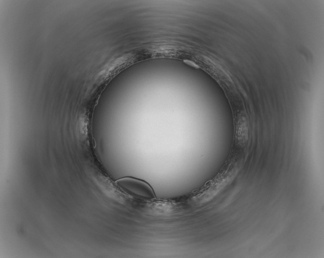 X0000115780282200911131254