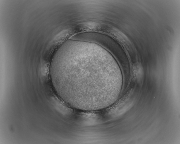 X0000115780284200911131254