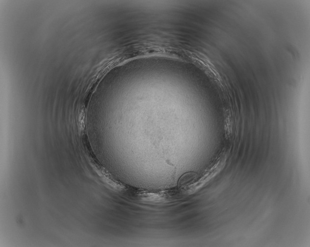 X0000115780285200911131254