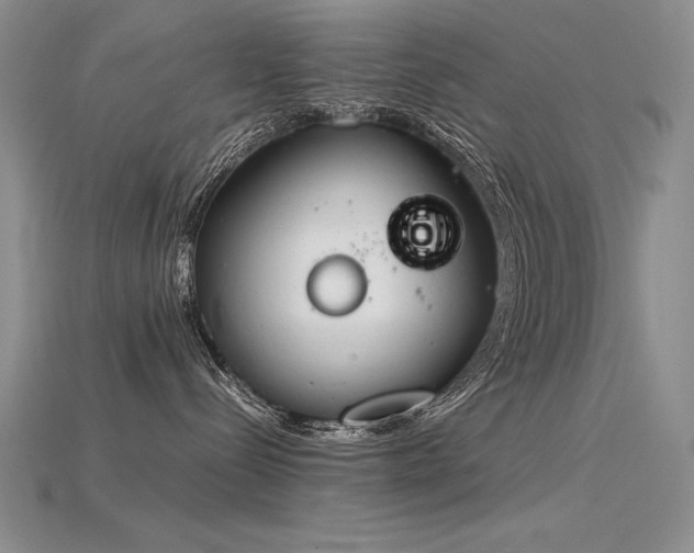 X0000115780288200911131254