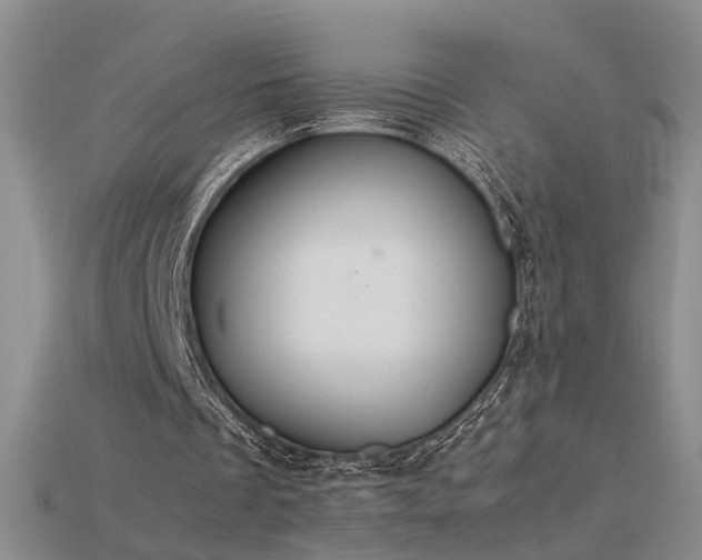 X0000115780289200911131253