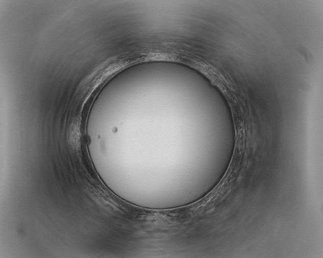 X0000115780290200911131253