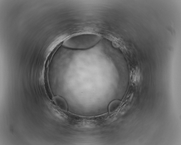 X0000115780292200911131253