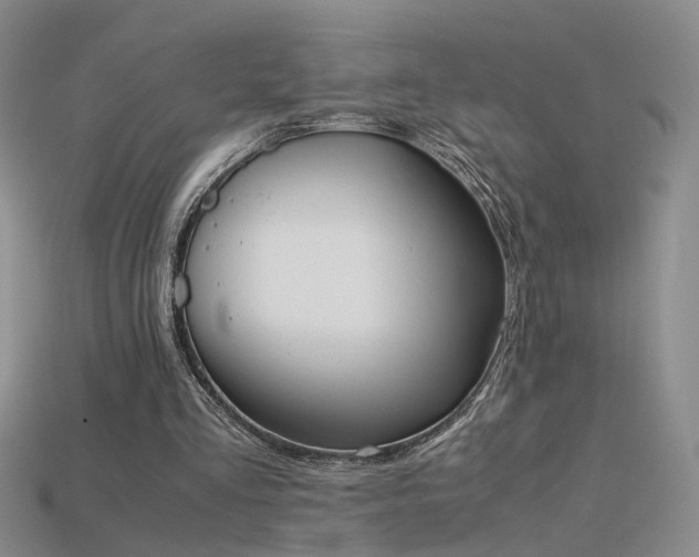 X0000115780293200911131253