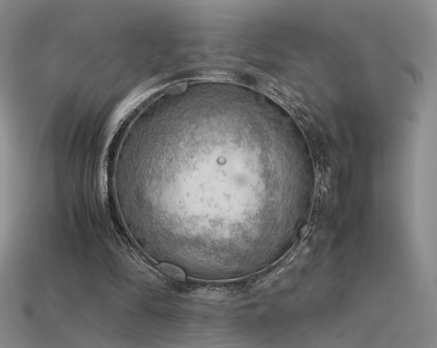 X0000115780294200911131253