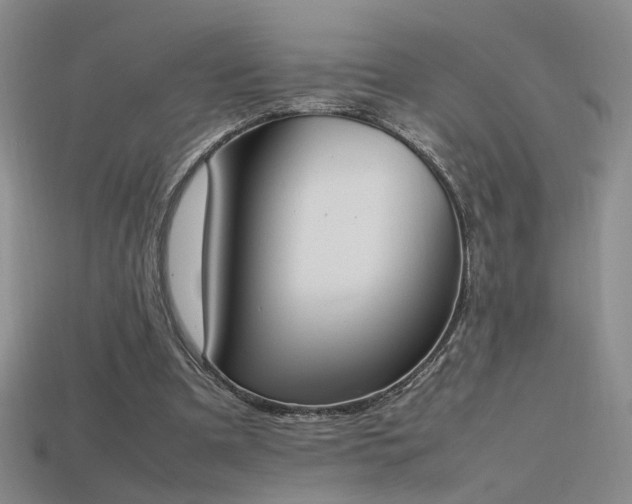 X0000115780297200911131253