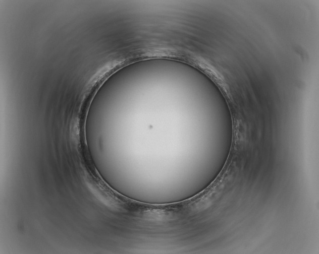 X0000115780298200911131253