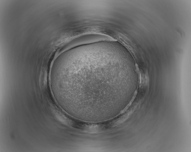 X0000115780301200911131253