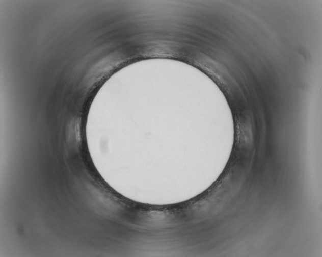 X0000115780302200911131253