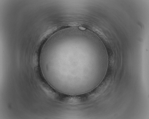 X0000115780303200911131253