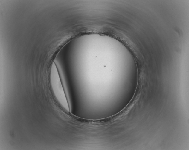 X0000115780305200911131253