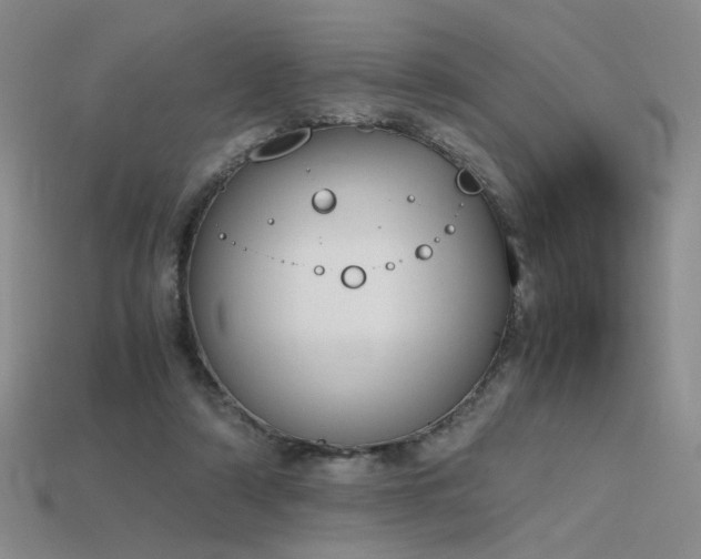 X0000115780306200911131253