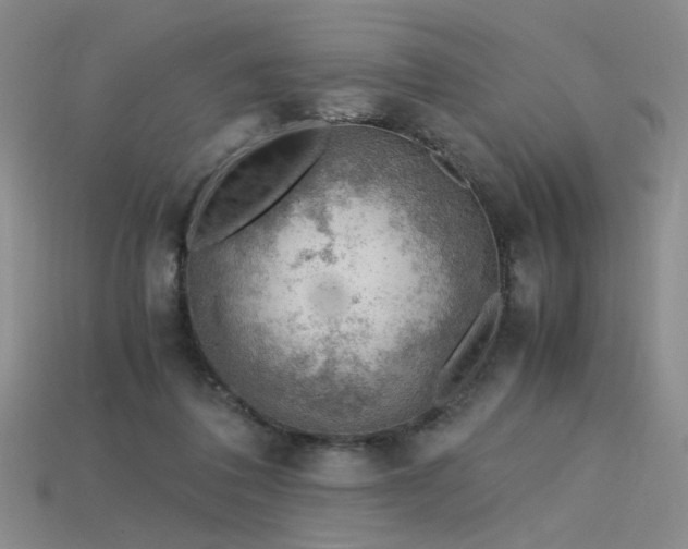 X0000115780308200911131253