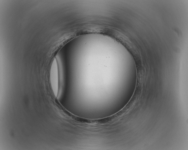 X0000115780309200911131253