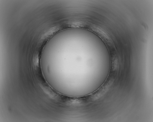 X0000115780310200911131253