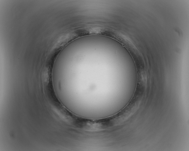 X0000115780311200911131253