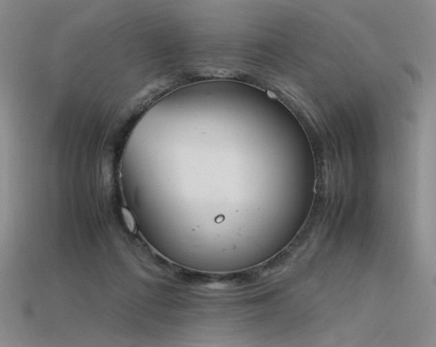 X0000115780312200911131253