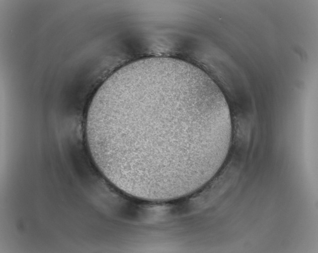X0000115780313200911131253