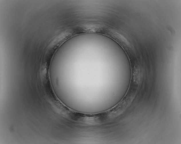 X0000115780314200911131253