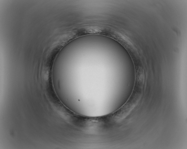 X0000115780315200911131253
