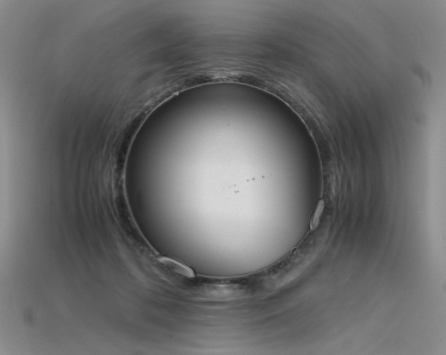 X0000115780316200911131253