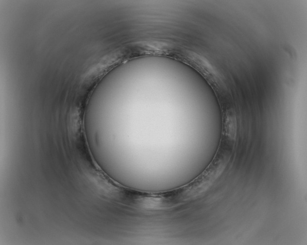 X0000115780318200911131253