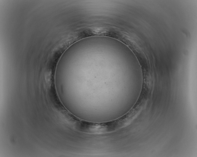 X0000115780319200911131253