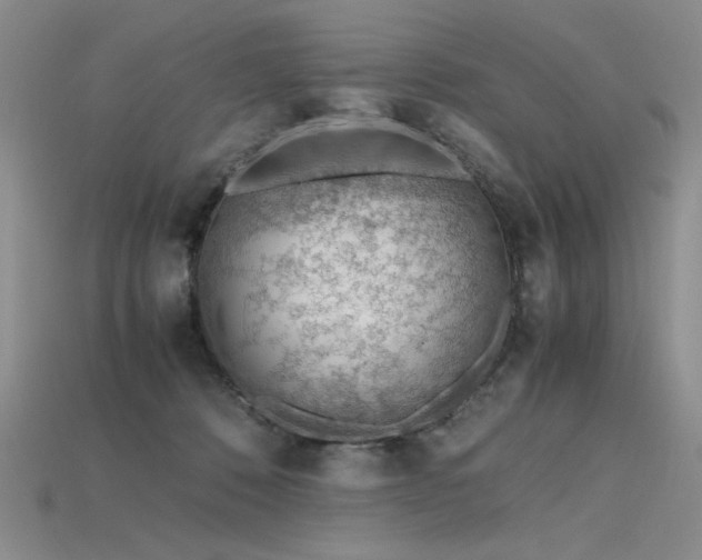 X0000115780320200911131253