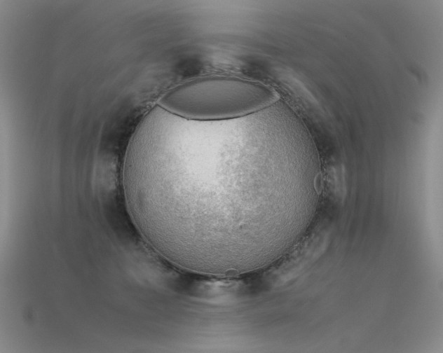 X0000115780323200911131253