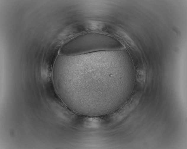 X0000115780324200911131253