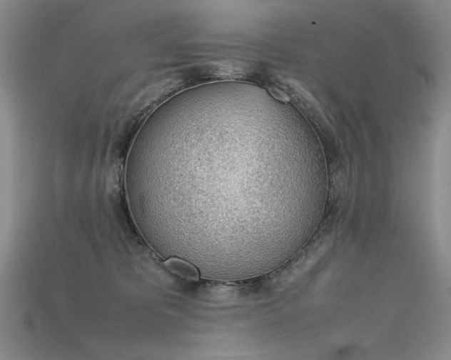 X0000115780325200911131253