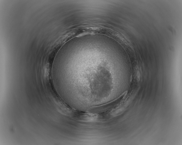 X0000115780328200911131253