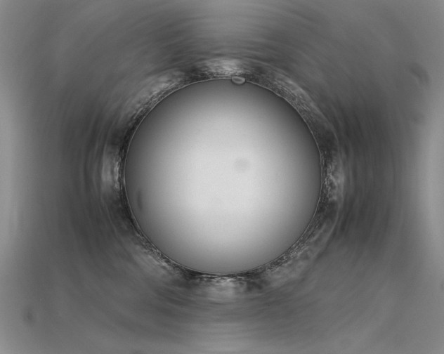 X0000115780330200911131253