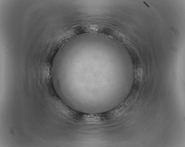 X0000115780331200911131253