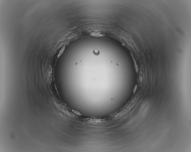 X0000115780332200911131253