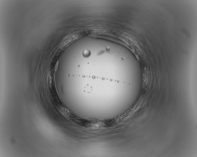 X0000115780333200911131253