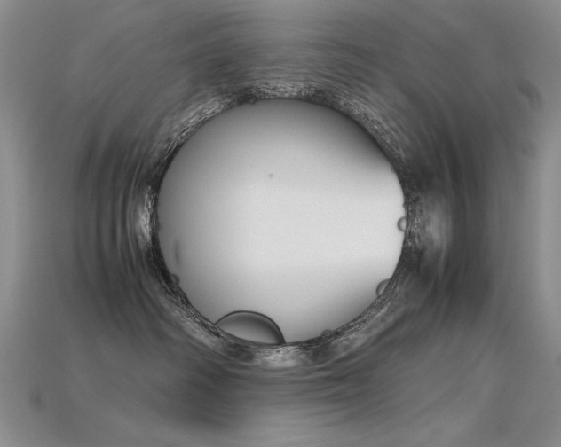 X0000115780334200911131253