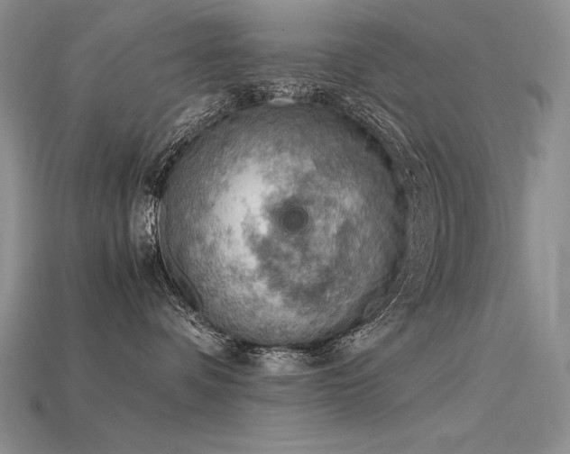 X0000115780336200911131252