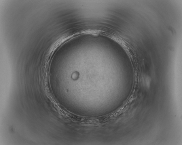 X0000115780337200911131252