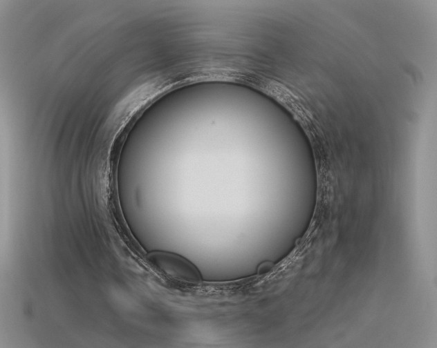 X0000115780338200911131252