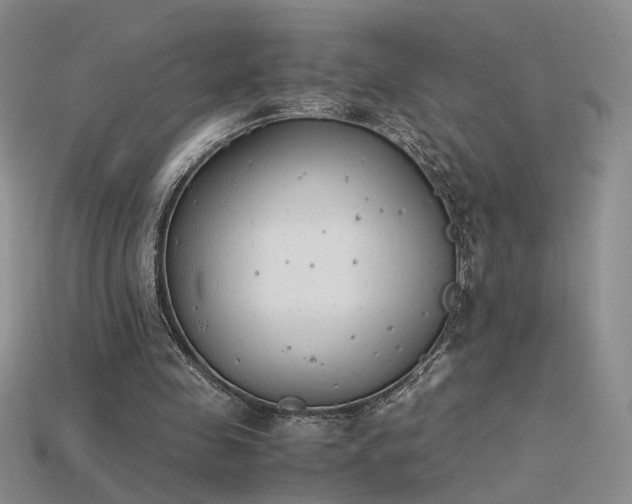 X0000115780341200911131252