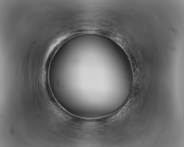 X0000115780342200911131252