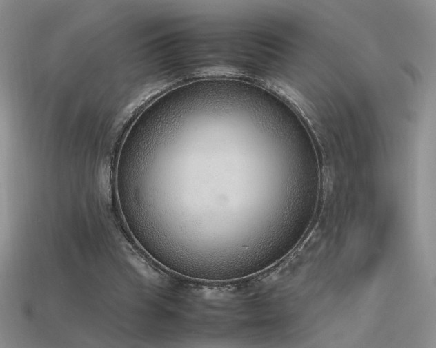 X0000115780345200911131252